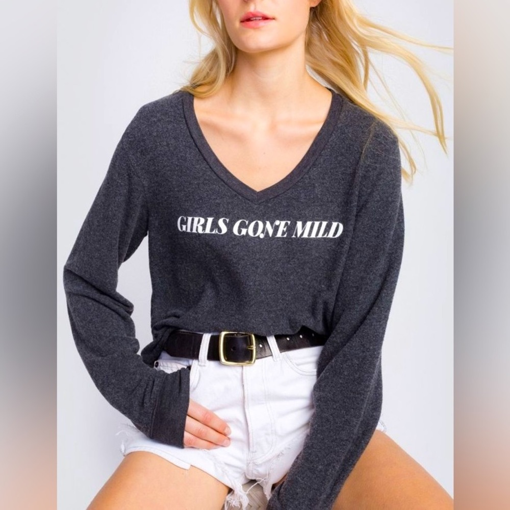 🤸🏼‍♀️Wildfox Girls Gone Mild Gray V Neck Jumper S
